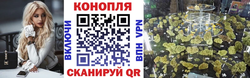 Галлюциногенные грибы Олонец