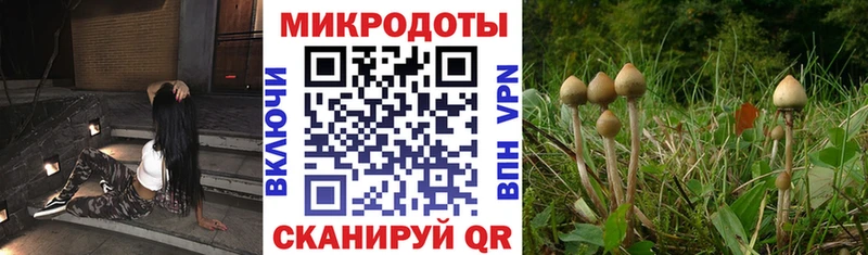 Галлюциногенные грибы MAGIC MUSHROOMS  Купить где  Олонец 